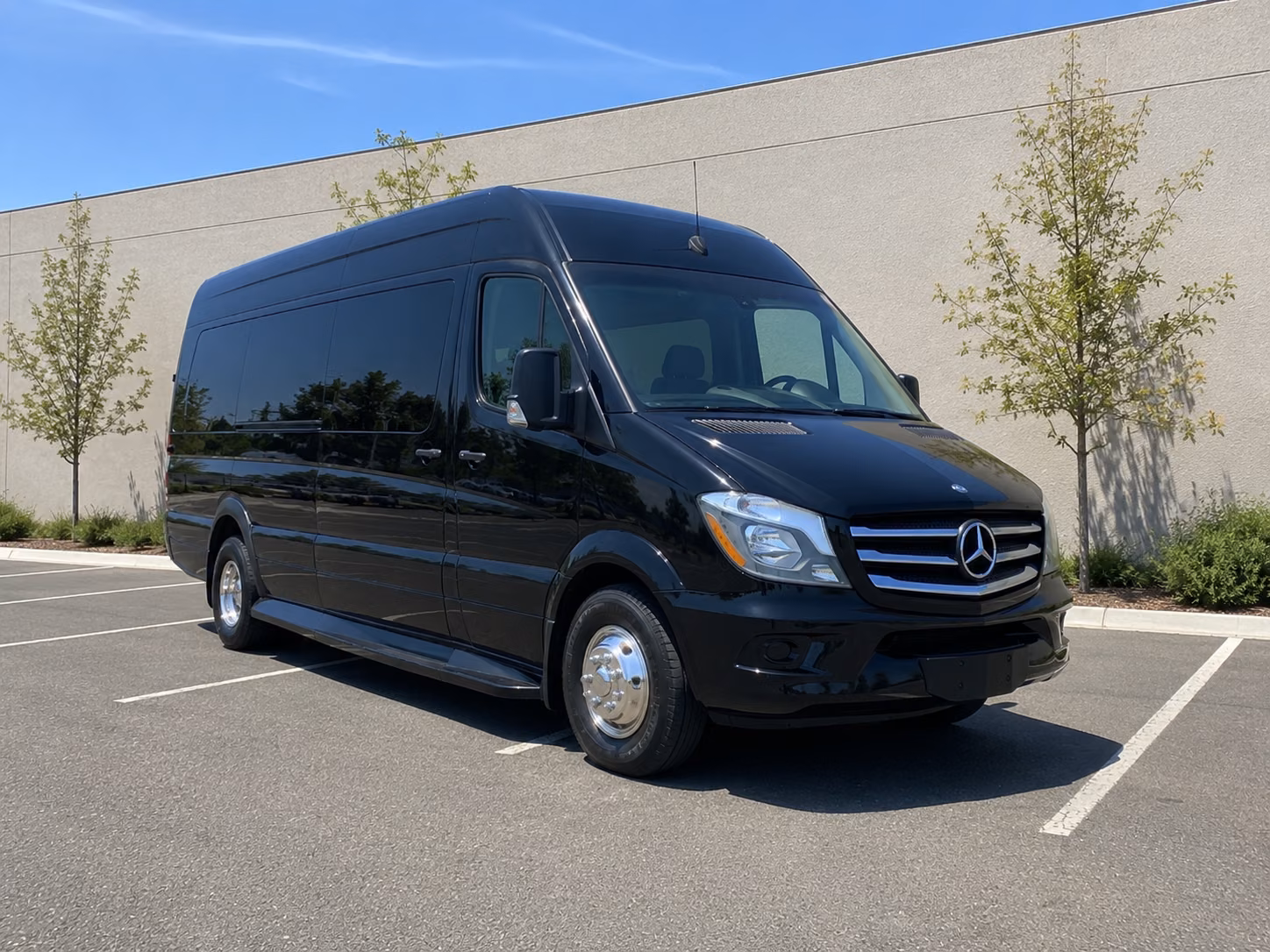 12 passenger sprinter van