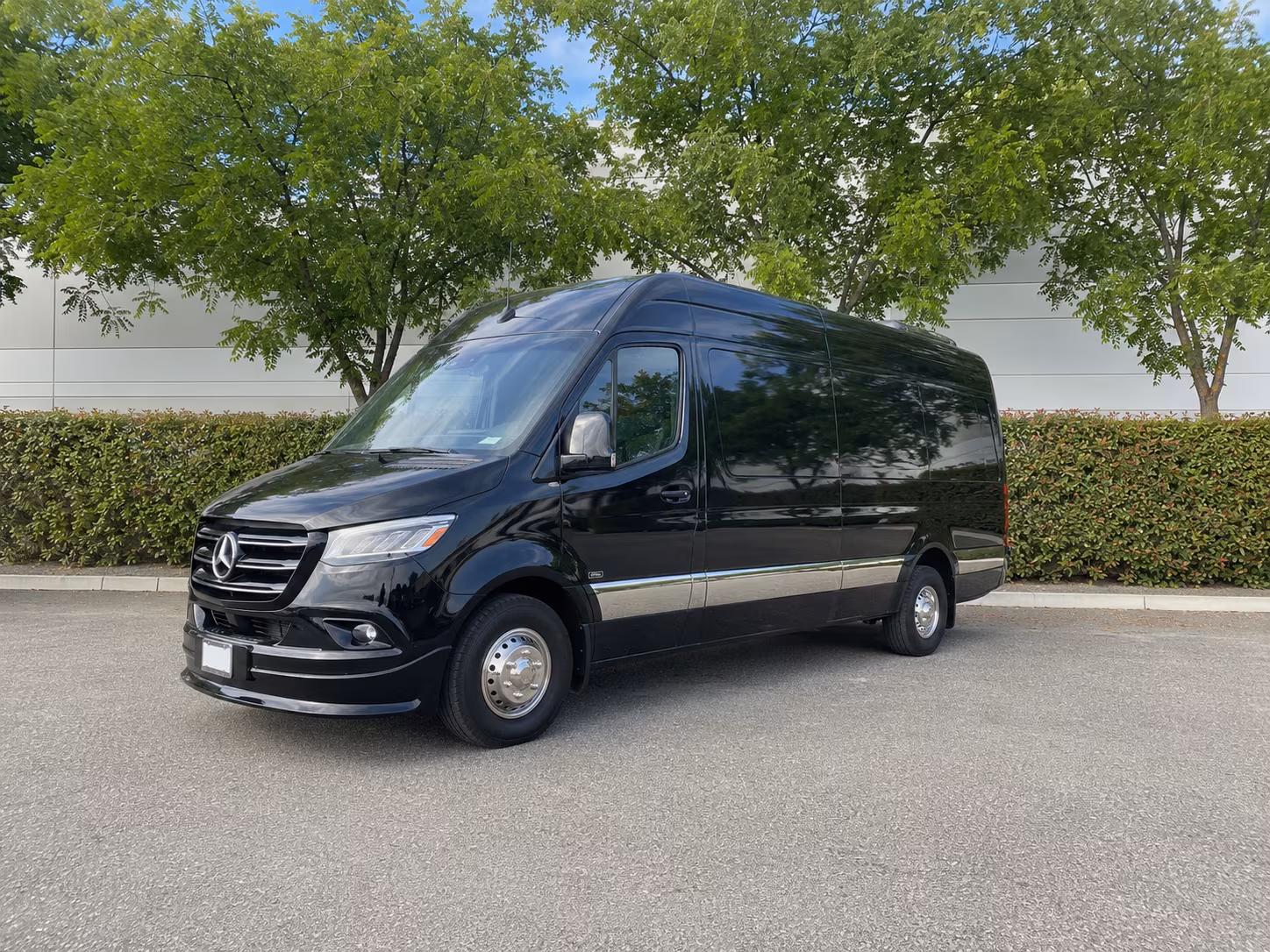 palm bay 18 passenger sprinter van