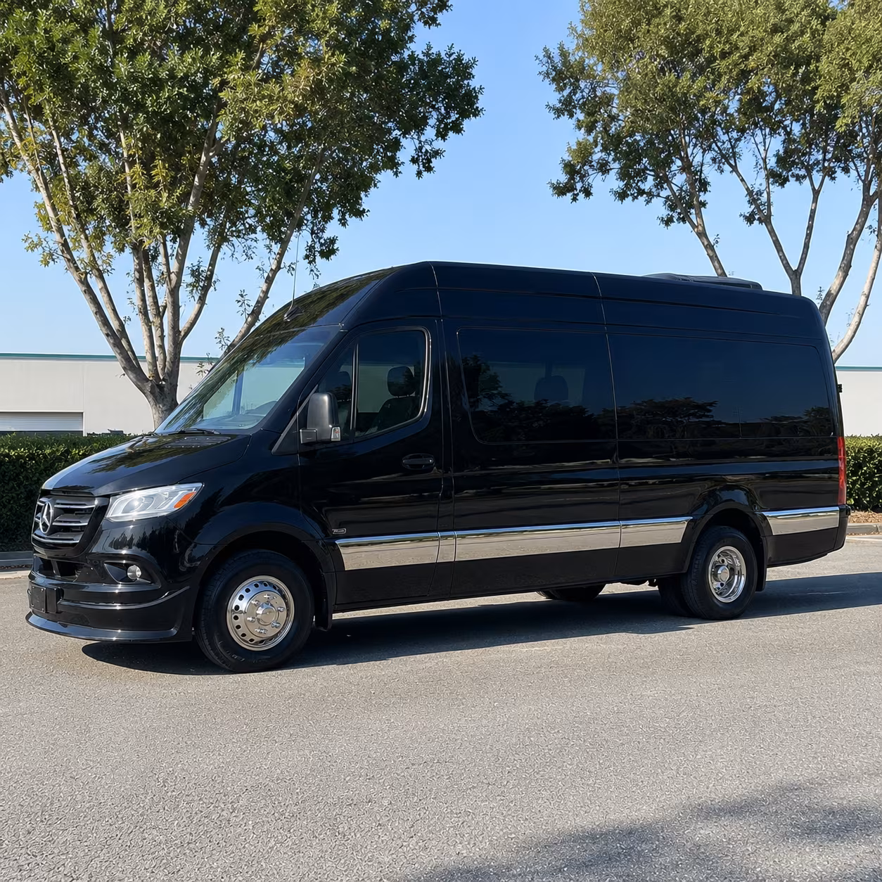 palm bay birthday sprinter van rental